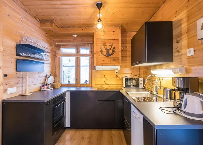 Vakantiehuis Poronpurema A By Interhome Levi